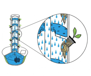 How irrigation in tower farms and tower garden works
