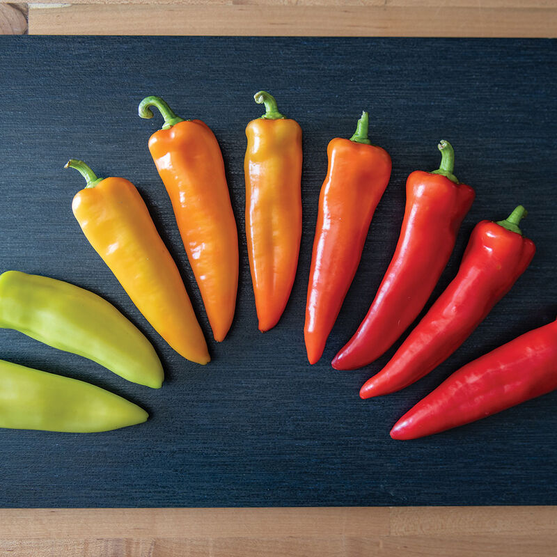 hot pepper hungarian hot wax - johnny's seeds in kuwait