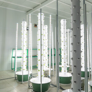 Tower Farms at AUK made by Beyond Organic KW in Kuwait