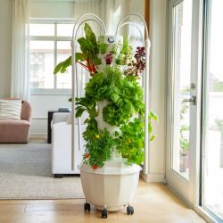 Tower Garden for Homes